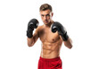 © VecorWing - Muscular boxer in fighting stance isolated on transparent background