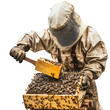 © An - A beekeeper in protective gear, using a honeycomb frame to collect honey from a beehive.