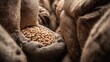 © Ekit - Soybeans in burlap sacks storage