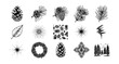 © LOBSTER LARRY - Intricate pine cone patterns and nature elements in hand-drawn style
