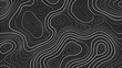 © Mohsin - Abstract black and white topographic map background, seamless contour lines forming elevation shapes, minimalist geographic pattern and texture, smooth fluid lines, simple vector art,