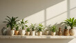 © ElMosamem - Minimalist terrazzo shelf with low maintenance houseplants mid century decor and warm lighting