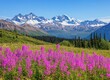© pedot - Mountain vista, field of purple flowers, trees, clear sky