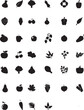 © MdMakhjum - Vector silhouette icon set of black and white butterfly and bird nature symbols