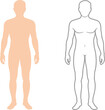 © KanonRani art - Human body outline and anatomy silhouette front view vector illustration for medical education, healthcare, anatomical study, and scientific diagram design.
