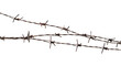 © berkahjayamaterial - messy barbed wire isolated on white