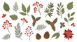© nabila - Elegant collection of festive winter botanical elements for seasonal designs