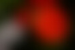 © enesdigital - Beautiful abstract design featuring seamless soft color gradients background