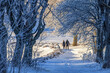 © Lars Johansson - People walking on a snowy path with a dog a cold winter day