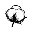 © Design planet1001 - Cotton boll illustration plant fiber