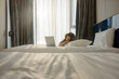 © shine - Relaxed 50 years Asian woman sleeping soundly on the bed, feeling exhausted after a long day of working on laptop. Sunlight filtering through sheer curtains creates soft shadows on bed surface.