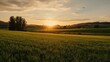 © AkuAku - Tranquil rural landscape with vibrant green meadow during sunset