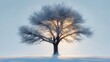 © ROUNDUP STD - A solitary tree, dusted in frost, stands against a glowing sky over a snowy landscape