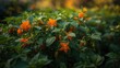 © AIArtistry - Golden Cape Gooseberry Seeds for Garden and Nature Lovers
