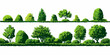 ©  Sheton - 다양한 녹색 나무와 관목이 흰색 배경에 벡터 스타일로 그려진 그림으로 자연의 아름다움을 표현합니다.