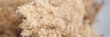 © elenavolf - Close-up of soft beige pampas grass with delicate feathery texture in natural light.