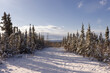 © Mila - winter landscape with snow covered trees