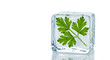 © Jin - Green Parsley Herb Frozen In Clear Ice Cube On Light Green Background