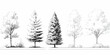 © Tejodi - 다양한 종류의 나무를 흑백 선화 스타일로 표현한 벡터 일러스트레이션으로, 자연적인 분위기를 연출합니다.