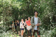 © Phimwilai - Group of friends hiking together in green forest