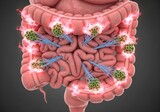 Microbial Firefighters Extinguish Gut Inflammation