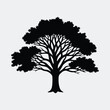 © CreatiMart - Silhouette large deciduous tree with branches and leaves Vector illustration
