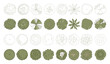 © Аня Марюхно - Top view trees for architectural plans and landscape design. Minimal vector illustration for urban planning, site plans, and architectural entourage.