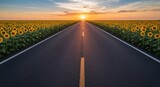 Asphalt road through a sunflower field at sunset