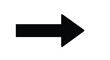 © Bisca Barca - Vector illustration of single black arrow pointing to the right