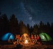 © TNX - illustration - A group of hikers are camping at night