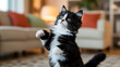 © DigitaArt.Creative - Adorable Black and White Kitten Standing Playfully Indoors