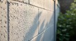 © rahma - Textured cinder block wall bathed in the soft glow of late afternoon light creating interplay of