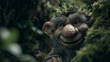 © kuper - A fantasy troll