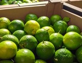 Close-up of a wooden box overflowing with fresh, green limes