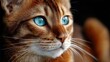 © TimelessClicks - Close-up Portrait of Bengal Cat with Striking Blue Eyes and Detailed Fur