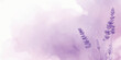 © The Alpha - Watercolor lavender flowers on a soft purple background delicate floral illustration for wedding invitations and spring designs creating a calming and elegant atmosphere