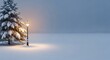 © Kavindu - Snowy pine tree and lamp post