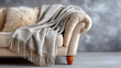 © Iryna - Cream-colored sofa corner with cashmere throw blanket in minimalist bright setting