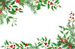 © milavas - Christmas holly frame