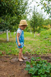© yanadjan - a child in the dirt in the garden holds the soil in his hands. Selective focus.