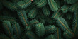 © Fang - Banner with Dense green pine foliage texture, dark moody fir tree branches background. Evergreen needles, seasonal holiday, Xmas, Noel, Christmas concept backdrop.