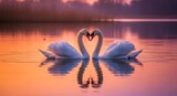 Graceful swans elegantly form a loving heart on a tranquil lake, reflecting the vibrant hues of a romantic sunset