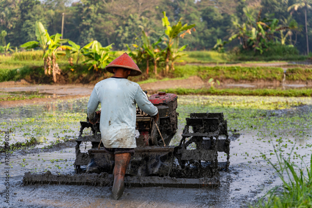 Farmer Working in Rice Field Using Hand Tractor, Traditional ...