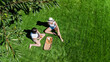 © Iuliia Sokolovska - Female friends eating pizza on summer picnic in park, relaxing on grass and having fun, aerial drone view from above
