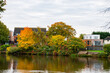 © Frank Goma - Autumn trees in the park along the river Trent in Nottingham, UK.