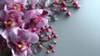 © lasalus - Pink orchid arrangement on clean background