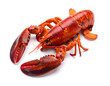 © Bernd Schmidt - Red cooked lobster white isolated generative AI