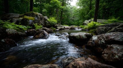  A clear cool stream flows over weathered rocks and through a vibrant green forest