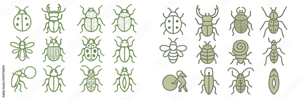 Rustic Insect Outline Collection of hand-drawn insects and bugs in simple green outlines ...