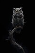 © Maria - Woolen owl illuminated by moonlight perched within black void of mystery